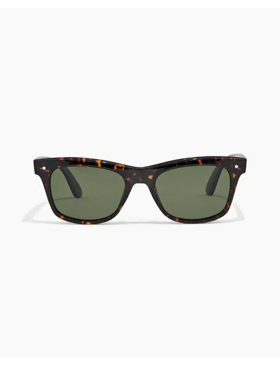 Szade エスザーデ / HARDY wasp / moss polarised / BROWN ブラウン / サングラス